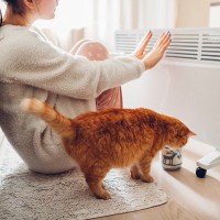 猫の寒さ対策に『暖房器具』を使うときの注意点4つ　起こりうるトラブルや予防法も解説