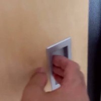 寝室を覗いてみたら、妻と猫が…目に飛び込んできた『まさかの光景』が18万再生「想像以上で可愛いｗ」「羨ましすぎるｗｗ」と絶賛