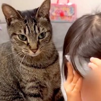 熱が出てつらそうな６歳の女の子→ネコがそばに寄り添い続けて…『家族愛にあふれた光景』に絶賛「健気さに泣けてくる」「本当の姉妹みたい」