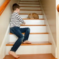 猫が撫でられそうになると逃げる心理5つ　距離を縮めるコツから配慮すべきことまで