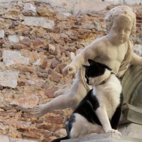 博物館のマスコット猫は、寄付や各種事業にも大活躍　世界中にファンをもつ人気者 英国