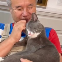 自ら3度も“捕獲器に入った”野良猫→保護した結果…信じられない『驚きの性格』が17万再生「涙が出てきた」「頑張って外に居たんだね」
