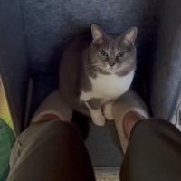 パネルヒーターで足を温めていると、猫ちゃんがやって来て…"可愛すぎる瞬間"に６万いいね「あったかを察知」「表情が本当に好き」と話題