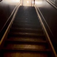 家を購入するときに躊躇した『幽霊が出そうな階段』→猫たちが使うと…17万再生の可愛すぎる光景に「釘付けになった」「素晴らしい眺め」と絶賛