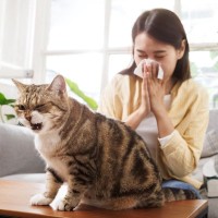 猫が『咳』をしているときの原因4つ　病気の可能性から適切な対処法まで