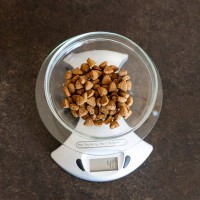 猫に与えるご飯の『適正カロリー』とは？年齢や体格などに合わせた計算式も