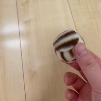 猫ちゃんの目の前にボールを転がしてみたら…思わず笑ってしまうリアクションに２万いいね「性格がよく分かるｗ」「揺るぎないものを感じる」