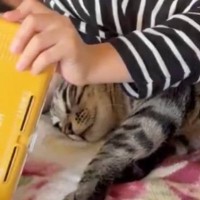 休日、一緒に過ごしていた『猫と息子』→覗き見したら…とんでもなく尊い光景に14万いいね「何気にペアルックだ」「尻尾が幸せを表してるｗ」