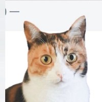 愛猫が『仕事用チャット』でメッセージを送信してしまった結果…思わず爆笑の『珍事件』に７万いいね「送信は上級者」「すごいねーｗ」