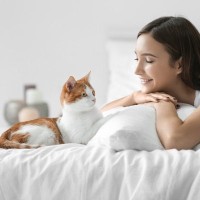 自分が『猫を好きすぎる』ことを実感する瞬間4選　思わず頷く愛猫家あるあるをご紹介