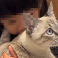 ３歳の女の子が帰ってくると、猫が『全力でお出迎え』して…相思相愛ぶりが素敵すぎると172万再生「好きが溢れてる」「ラブラブだねｗ」