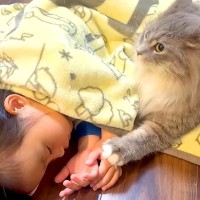 遊び疲れ、床で眠っている小さな女の子→気づいたネコが…いつまでも見ていたい『寄り添う光景』に反響「手を繋いでいるよう」「健気だね」