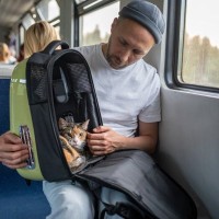 列車内で「突然鳴き出した猫」の飼い主から、鉄道会社が罰金を徴収　フランス