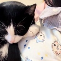 『家のことしないといけないのに…』ママの膝の上を見ると→猫と赤ちゃんの『可愛すぎる光景』が18万再生「うらやましい」「幸せ空間」