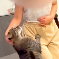 一緒に遊ぶ６歳の女の子と猫→まるで本当の姉妹のようで…あまりにも尊い『種族を超えた愛』が23万再生「さすが前世姉妹」「かわいすぎて悶絶」