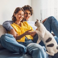 猫を迎えてから『家族になった』と実感する瞬間4選　心を開いている仕草や行動もご紹介