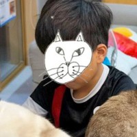 勉強に集中する男の子の"周り"を見てみると→『ネコたち』が…まさかの光景に爆笑の声「情報量が多すぎるｗ」「揉めてて笑った」と１万いいね