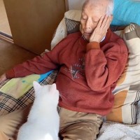 ソファに座るおじいちゃんのもとに『猫』がやってくると…ほのぼのとした日常の光景が癒されると47万再生「あまりにも素敵」「幸せな日常」