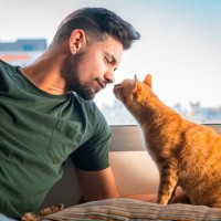 猫の『鼻チュー』に込められている5つの理由　信頼されている証？行動の意味とは