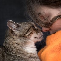 猫との暮らしにも役立つ『アンガーマネージメント』とは？　思わず怒りそうな瞬間に行いたい対処法5つ