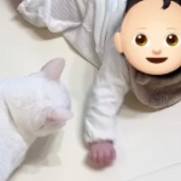 赤ちゃんとずっと『一定の距離を保っていた猫』→突然『変化』が起きて……まさかの光景に「かわいい～ｗ」「楽しそう」とSNSで反響
