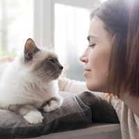 愛猫と『いい関係を維持』するための秘訣5つ　飼い主が心がけるべきこととは