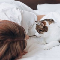 猫と『添い寝』するときにやってはいけない行動5選　思わぬトラブルに繋がる危険性も…？