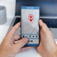 「AI技術」で、迷子の愛猫と103日ぶりに再会できた！　最新「ペット探索アプリ」に期待高まる　米国