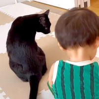 赤ちゃんのことが大好きな黒猫→片時もそばを離れず…『まるでボディーガードのような様子』が話題「愛の交換だね」「頼りがいのある兄ちゃん」