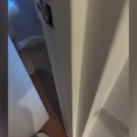 甘えん坊の猫→飼い主さんが部屋のドアを開けた、次の瞬間…まさかの『クセが強すぎるお出迎え』が80万再生「めっちゃ可愛いｗ」「本当に天使」