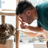 猫が飼い主に『冷めてしまう』ときの原因3選　失った信頼を取り戻す方法はある？