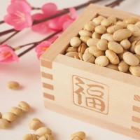 猫が『節分の豆』を食べるのは危険？楽しく安全に過ごすための工夫や注意点