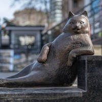 「猫の都市」イスタンブールで、もっとも有名になった野良猫　今もその伝説は街角に生き続ける　トルコ