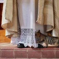 ローマ教皇に謁見し、自伝本まで発行　みんなから愛された「教会猫」　英国