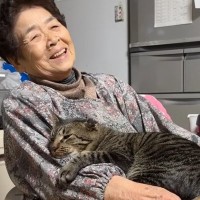 相思相愛な『おばあちゃんと元野良猫』の日常…とんでもなく尊いやり取りが87万再生「本当に安心するんだろうね」「なんか涙出た」