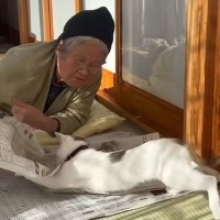 新聞を読むおばあちゃん→猫が『スライディング』で登場して…笑ってしまう展開が122万再生「新聞もじゃもじゃｗ」「なんて平和なんだｗ」