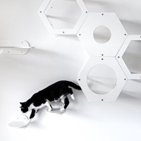 猫がのびのび暮らせる『DIYアイデア』4選　手軽に作れるコツや工夫もご紹介