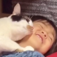 長男のことが大大大好きな『三毛猫』→寝る前になると…想像を超えてくる光景が142万再生「ジブリみたいな躍動感」「前世で夫婦だったかも」
