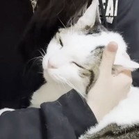 誰にも相手にされない娘のもとに『心優しい猫』がやってきて……愛にあふれた『尊い瞬間』に反響「いいなぁと声が出た」「愛も重たい」