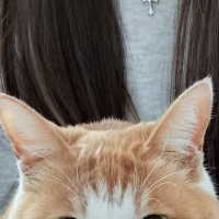 帰省した娘さんに『抱っこされる猫』→表情を見ると……可愛すぎて笑ってしまう瞬間に４万いいね「見てるだけかよって聞こえる」「たまらん」