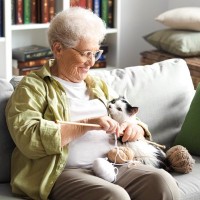 猫が飼い主からの『愛情を感じている』ときにみせるサイン5つ　あなたの気持ちが届いている証？