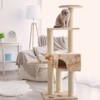 猫の寿命を縮めてしまう『危険な飼い方』5つ　すぐに見直すべき理由や改善策も解説