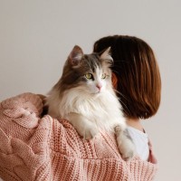 猫が『飼い主と他人』を判別しているポイント3つ　外見が違っても認識できる？