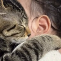 ママが赤ちゃんを抱っこしていると、『2匹の猫』が…涙が出るほど『尊い光景』が48万再生「えー可愛すぎるーー」「人類の夢が詰まってる」