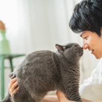 猫は『飼い主の声』を認識できる？実は愛猫が聞き分けていること5つ