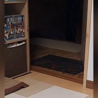 猫に『1階にあるおもちゃ持ってきてくれる？』と言ってみたら…飼い主驚愕の『まさかの展開』に「賢すぎ」「すごいｗ」と２万いいね