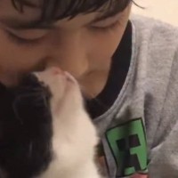 小さな男の子に抱っこされる子猫→4年後…とんでもなく尊い『ビフォーアフター』が41万再生「目頭が熱くなった」「大きくなったね」