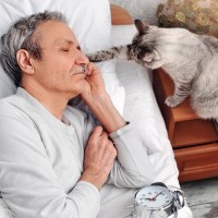 猫が飼い主を『叩き起こす』ときに使うワザ3選　困った行動への対処法も解説