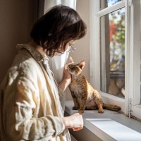 猫が『飼いやすい』と言われている理由5つ　本当にそうなの？飼う前に知っておくべき注意点まで