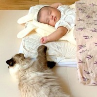 『いつも見守ってくれてありがとう』赤ちゃんと一緒に暮らす猫が…『本当のお姉ちゃんのような行動』に「間違いなくずっと仲良し」と称賛の声
